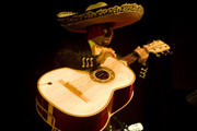 Alex Andrade, Guitarronista del mariachi Mestizo